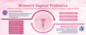 Vaginal Probiotics for Women Health