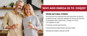 Why Add PQQ to Your CoQ10?