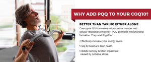Why Add PQQ to Your CoQ10?