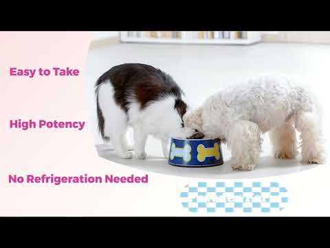 Dog & Cat Multivitamin with 5 Billion CFUs Probiotics