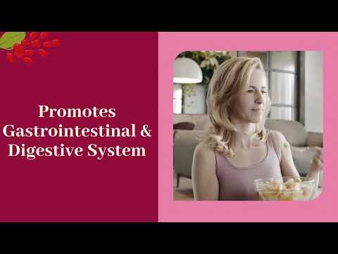 Berberine HCl Supplement 1200mg